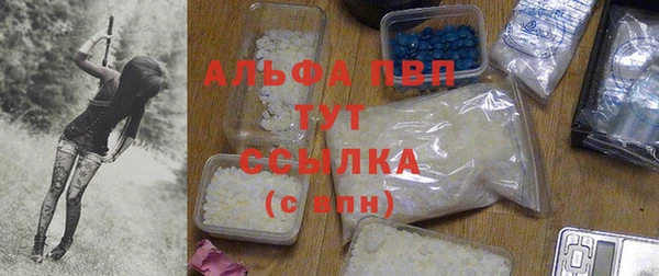 СК Абаза
